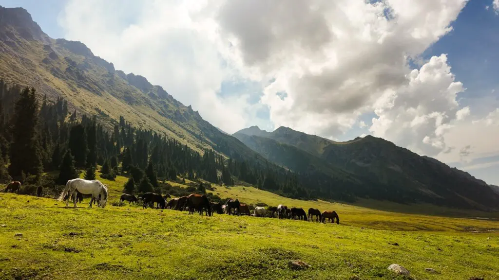 Kirgistan Wanderung