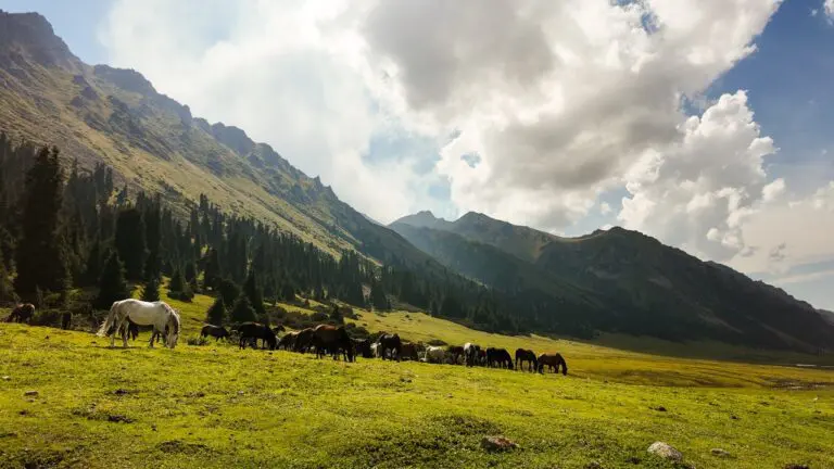 Kyrgyzstan Trail Hiking