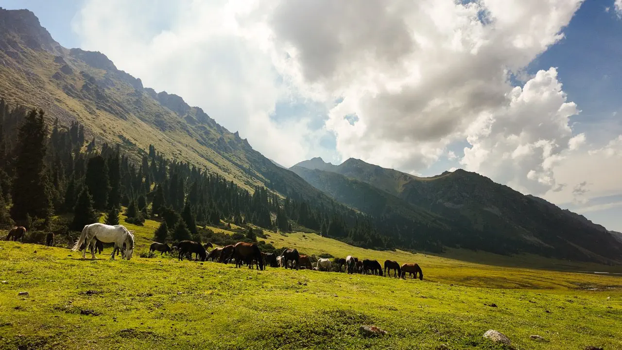 Kyrgyzstan Trail Hiking