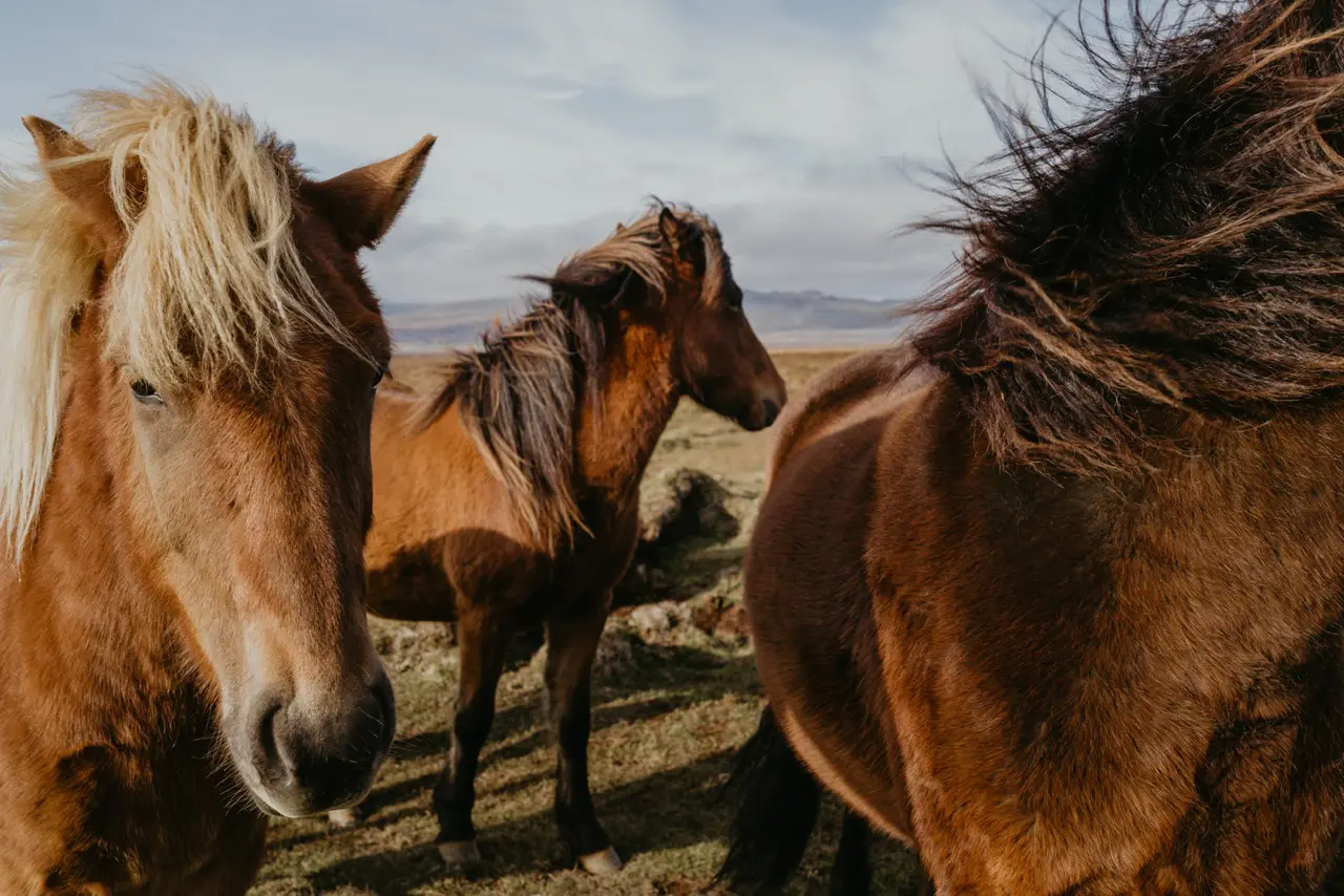 Kyrgyzstan Trail Hiking