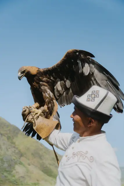 Spectacle de chasse à l'aigle au Kirghizstan