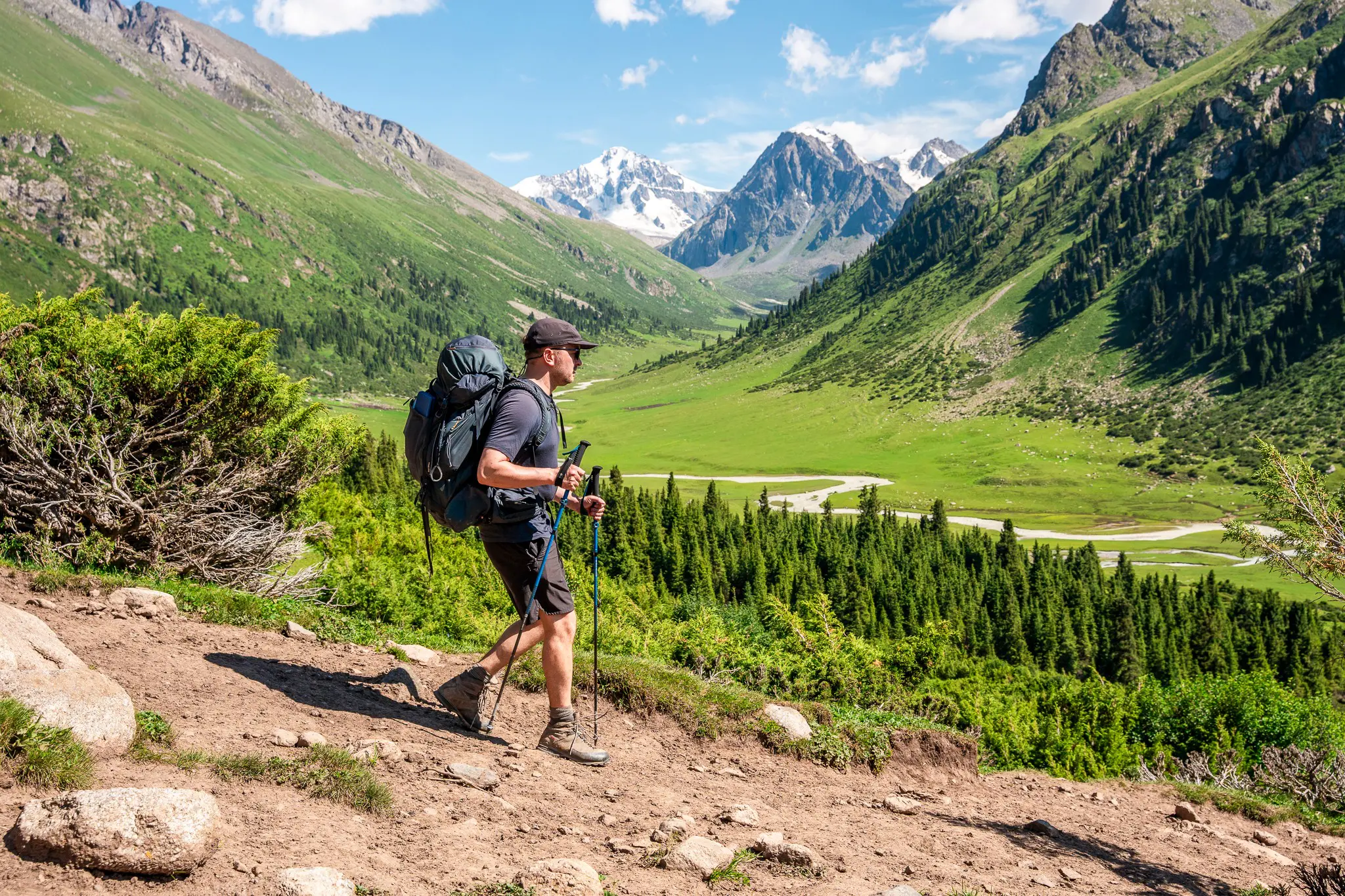 Hiker with a backpack and trekking poles in a lush mountain valley