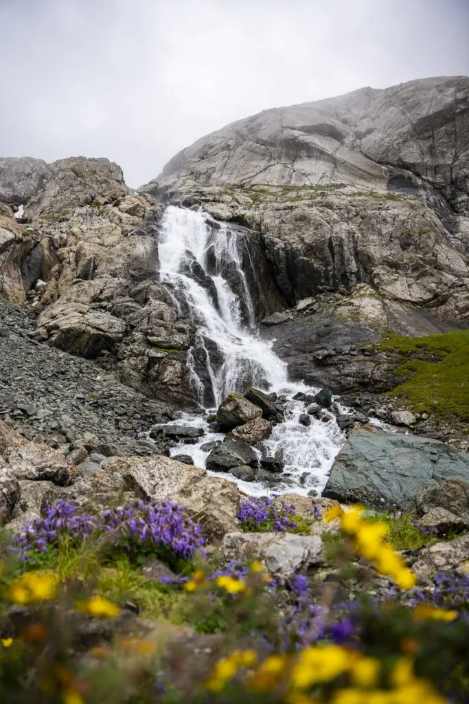 Waterfall cascading down a rocky mountain surrounded by purple and yellow flowers, Tian Shan