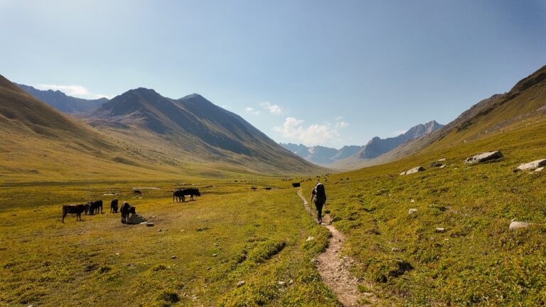 Kyrgyzstan Trail Jyrgalan