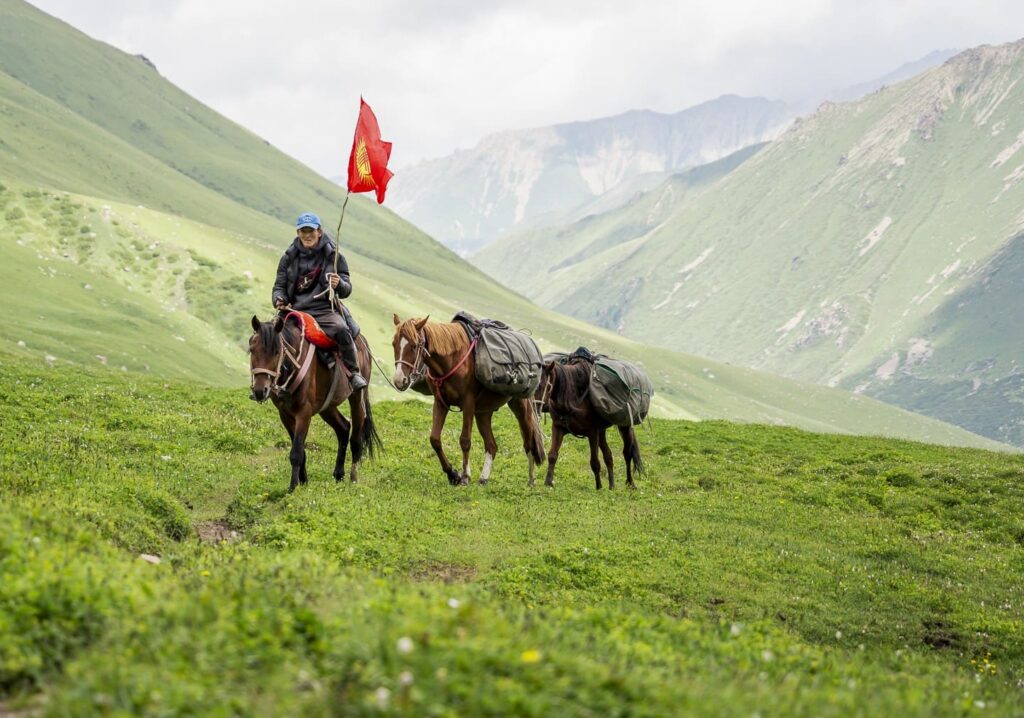 Rider with pack horses in the lush green mountains of Kyrgyzstan